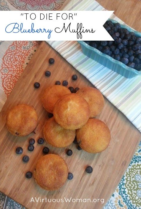 "To Die For" Blueberry Muffins @ AVirtuousWoman.org