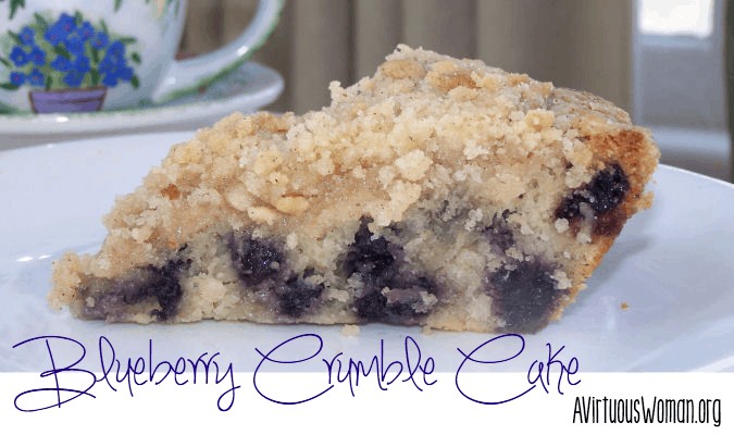 Blueberry Crumble Cake Recipe @ AVirtuousWoman.org