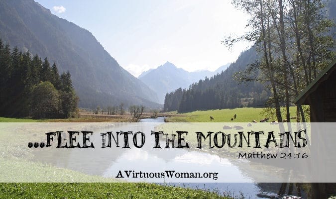 {The Abomination of Desolation} ... Flee into the Mountains | A Virtuous Woman