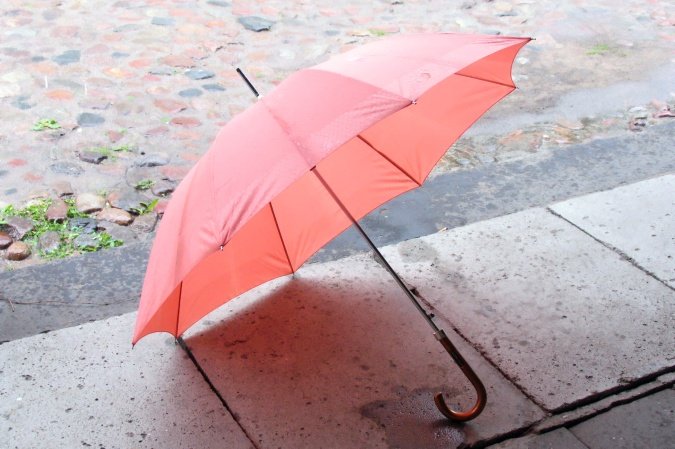 umbrella