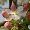 Spring Cleaning for the Heart and Home: Day 16