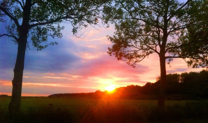 sunset