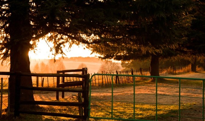 farm