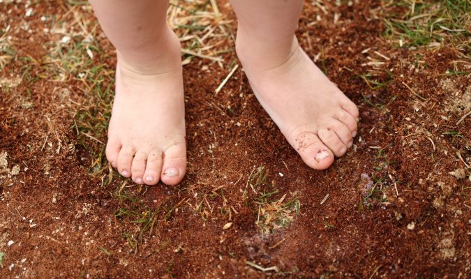 feet