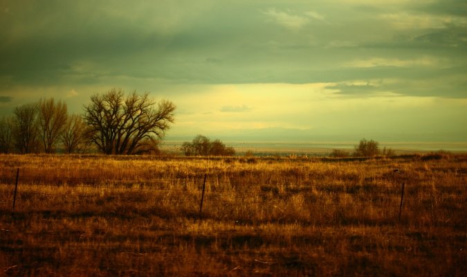 field
