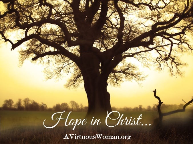 Hope In Christ {Part One: If It Were Not So... Bible Study} | A VirtuousWoman