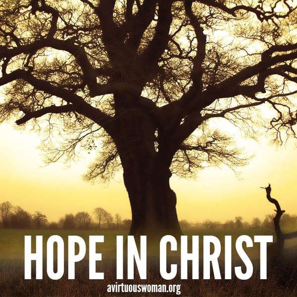 Hope in Christ: Part One @ AVirtuousWoman.org