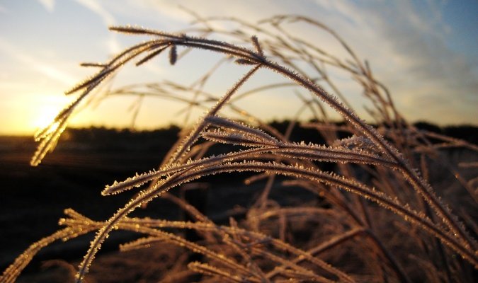 winter morning