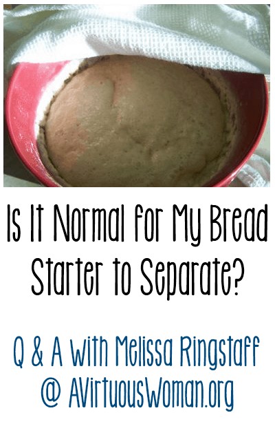 Is It Normal for My Bread Starter to Separate? Q & A @ AVirtuousWoman.org 