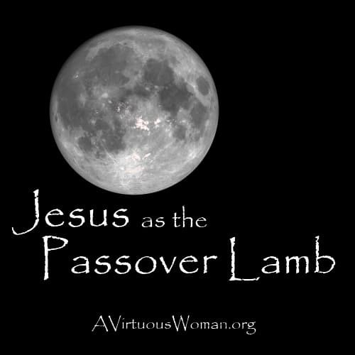 Jesus as the Passover Lamb {Prophecies} | A Virtuous Woman #biblestudy