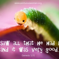 saw