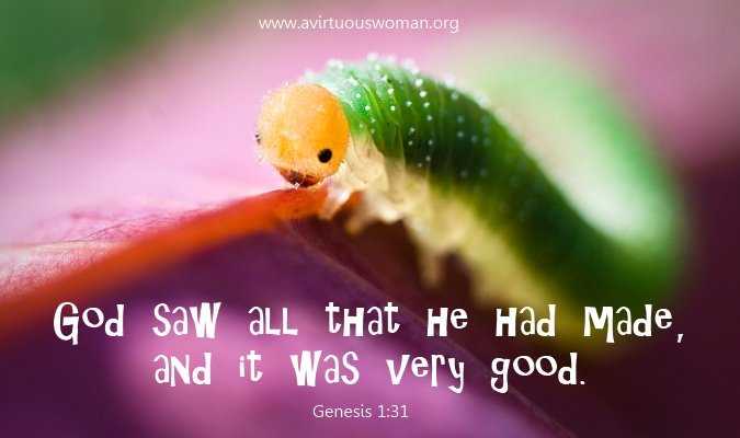 God saw all that he had made and it was very good. - AVirtuousWoman.org