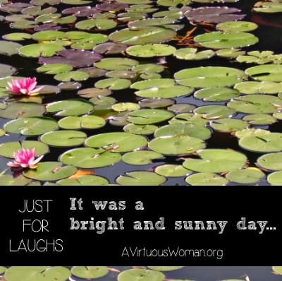 {Just for Laughs} It was a bright and sunny day... | A Virtuous Woman
