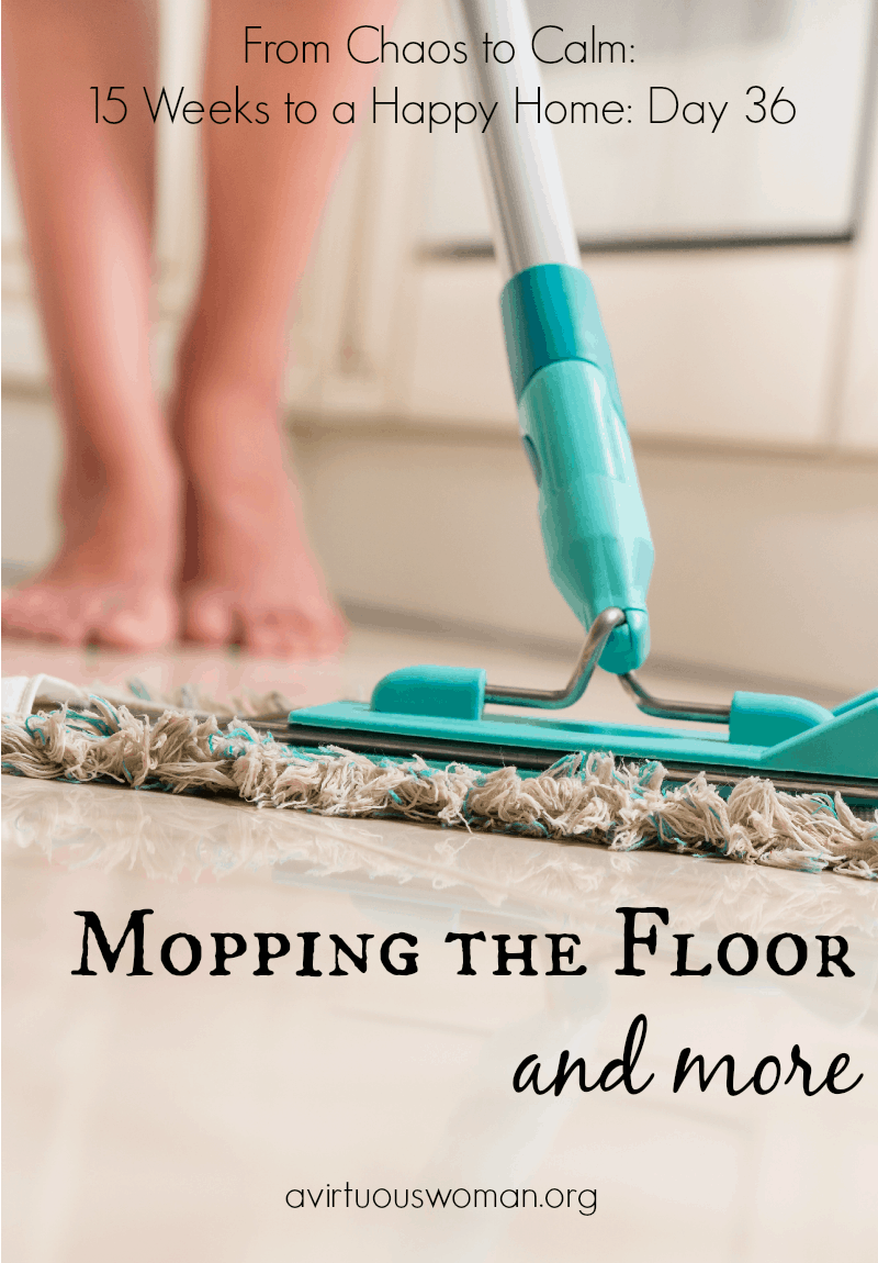 Mopping the Floor and More @ AVirtuousWoman.org