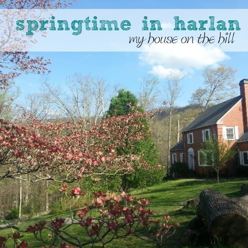 Springtime in Harlan | A Virtuous Woman