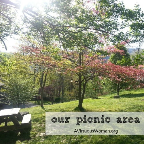 Springtime in Harlan | A Virtuous Woman