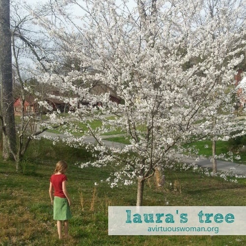 Springtime in Harlan | A Virtuous Woman
