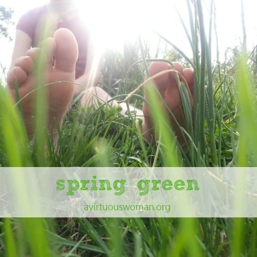 Springtime in Harlan | A Virtuous Woman
