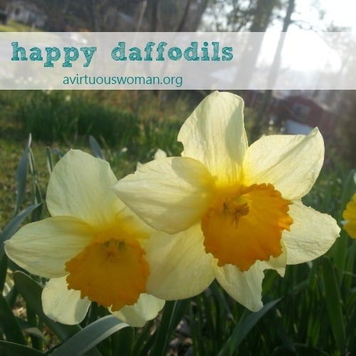 Springtime in Harlan | A Virtuous Woman
