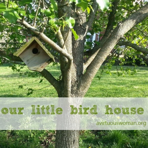 Springtime in Harlan | A Virtuous Woman
