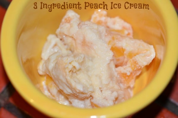 3 Ingredient Peach Ice Cream Recipe