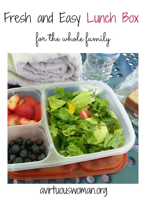 Fresh and Easy Lunch Box Ideas @ AVirtuousWoman.org