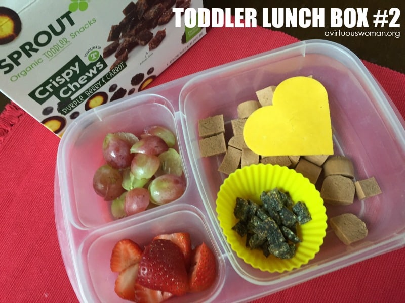 3 Easy Lunch Box Ideas for Toddlers @ AVirtuousWoman.org
