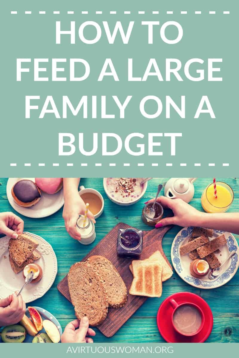 How to Feed a Large Family on a Budget @ AVirtuousWoman.org
