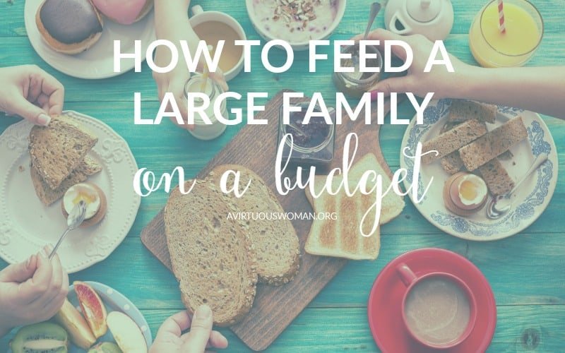 How to Feed a Large Family on a Budget @ AVirtuousWoman.org