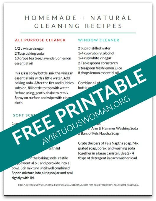 Homemade Natural Cleaners | Free Download @ AVirtuousWoman.org