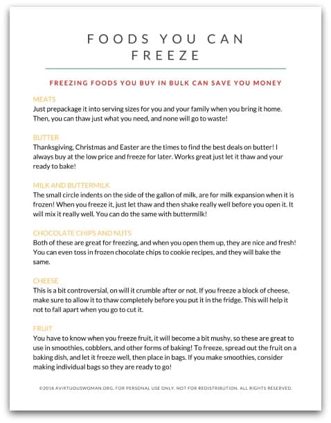 Foods You can Freeze to Save You Money @ AVirtuousWoman.org