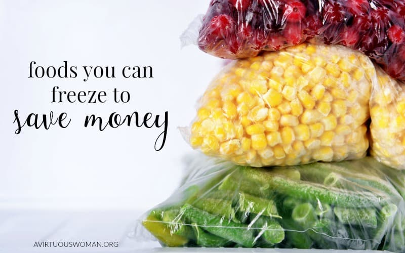 Foods You can Freeze to Save You Money @ AVirtuousWoman.org