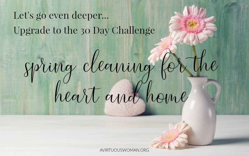 Spring Cleaning 30 Day Challenge @ AVirtuousWoman.org