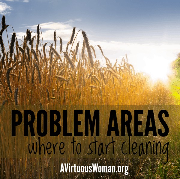 Problem Areas {Where to Start Cleaning} @ AVirtuousWoman.org