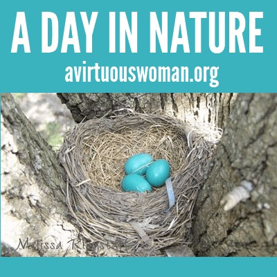 A Day in Nature @ AVirtuousWoman.org