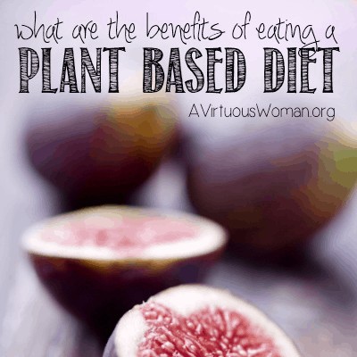 What are the benefits of a plant based diet? @ AVirtuousWoman.org #realfood