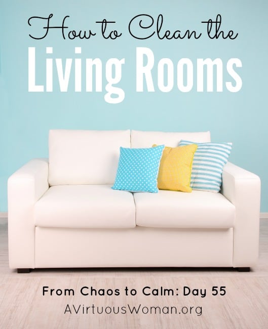 How To Clean The Living Room Checklist