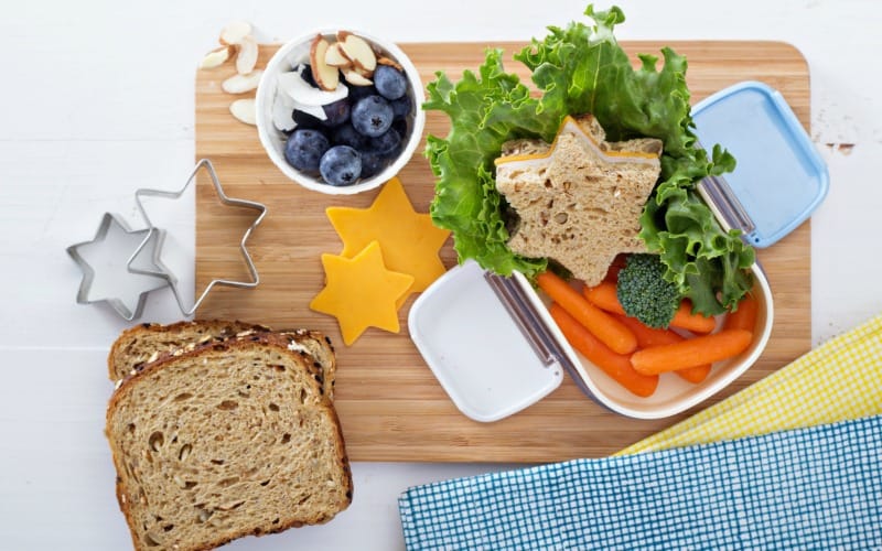 125+ Healthy Lunch Box Ideas @ AVirtuousWoman.org
