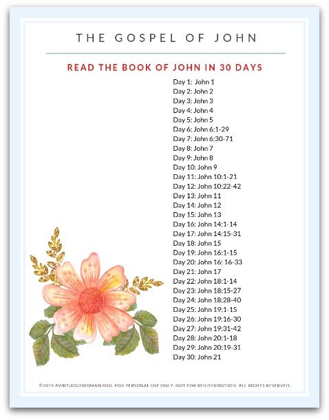 Read The Gospel of John in 30 Days | Scripture Reading Plan @ AVirtuousWoman.org