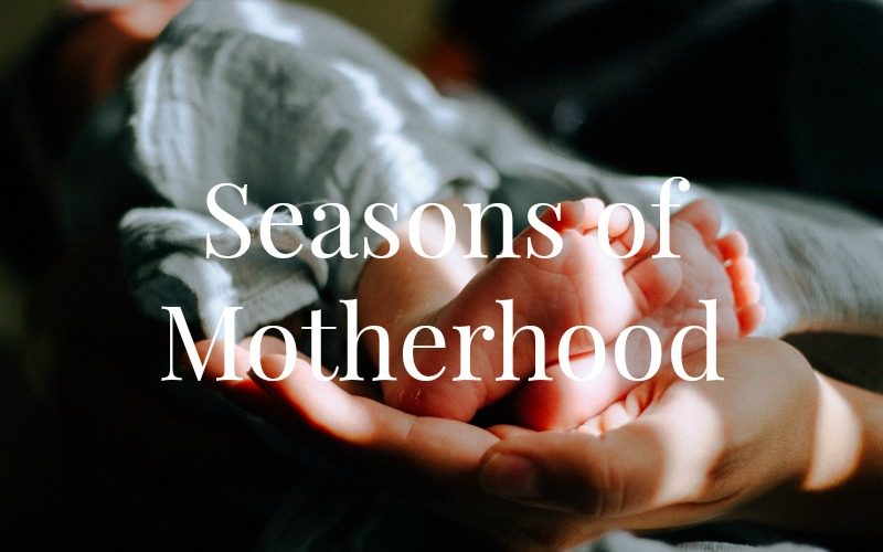 Seasons of Motherhood @ AVirtuousWoman.org