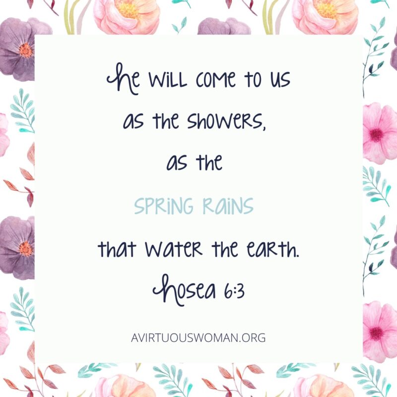  He will come to us as the showers,  as the  spring rains  that water the earth. Hosea 6:3